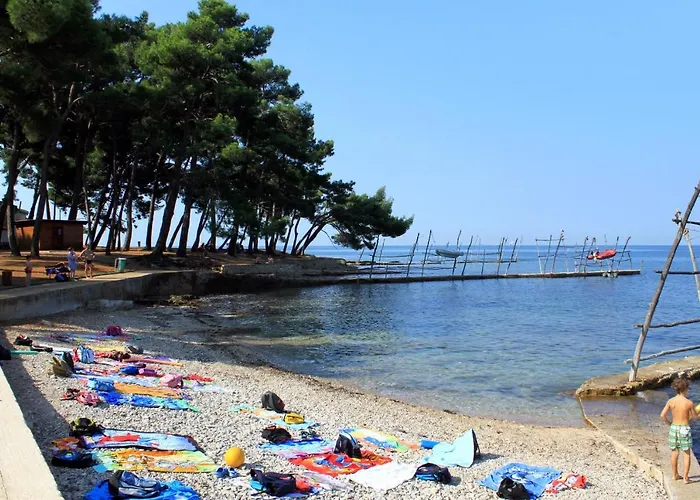 Basanija 7148a 아파트 *